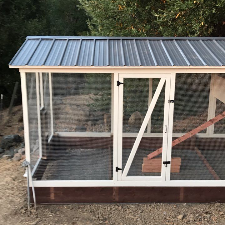 PaulRarePoultry's tweet photo. #customized #customized #coop #CustomCoops #coop #coops #chickenrun #chickencoop #chickenladder https://t.co/ncgWm9GhD4