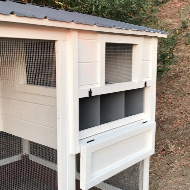 PaulRarePoultry's tweet photo. #coop #CustomCoops https://t.co/iMhFzgz977