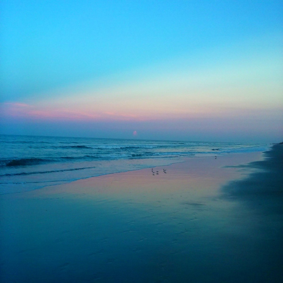 jenholistics's tweet photo. Daily rituals help to find balance after chaos #beachwalk #grounding  #nature #naturalbeauty #dailypractice #deepbreaths https://t.co/BxYE4H8Roh