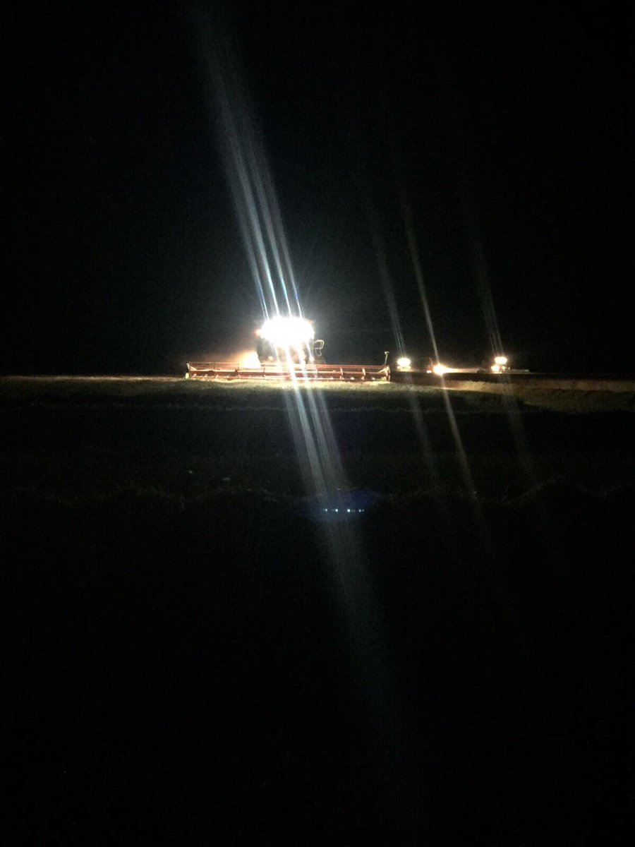 WestropeFarming's tweet photo. We have made great progress over the past 96hrs.Lots of hard work by every1 involved.#thanks #onions #pots #wheat #osrdrilling #nowraining 😴 https://t.co/suft10JLne