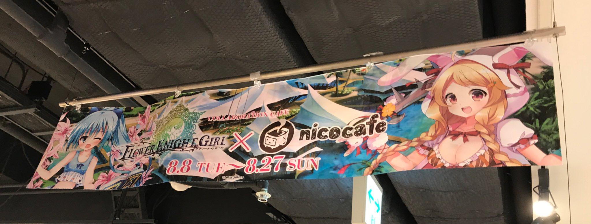 しょくぶつずかん フラワーナイトガール