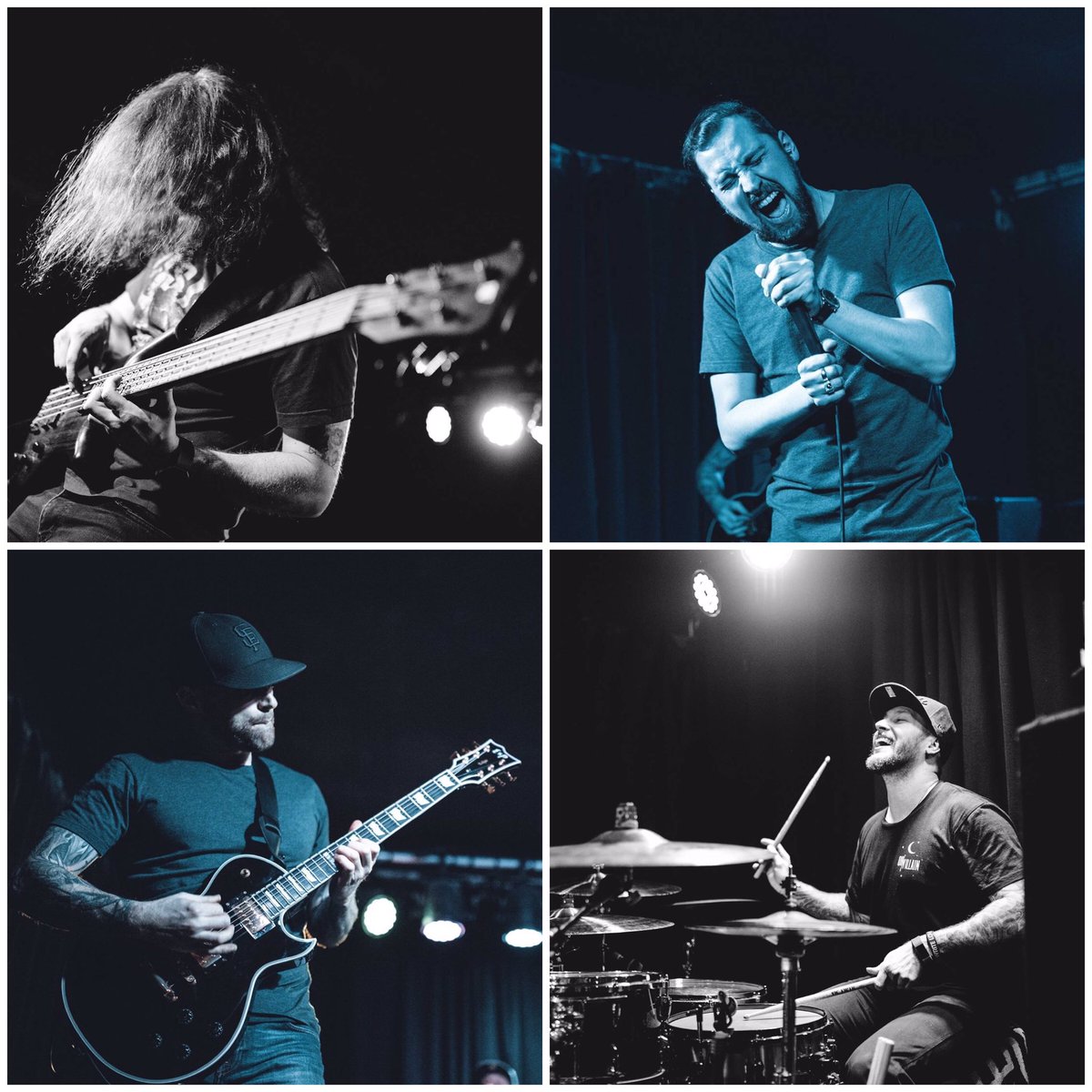 caution:thieves tweet media