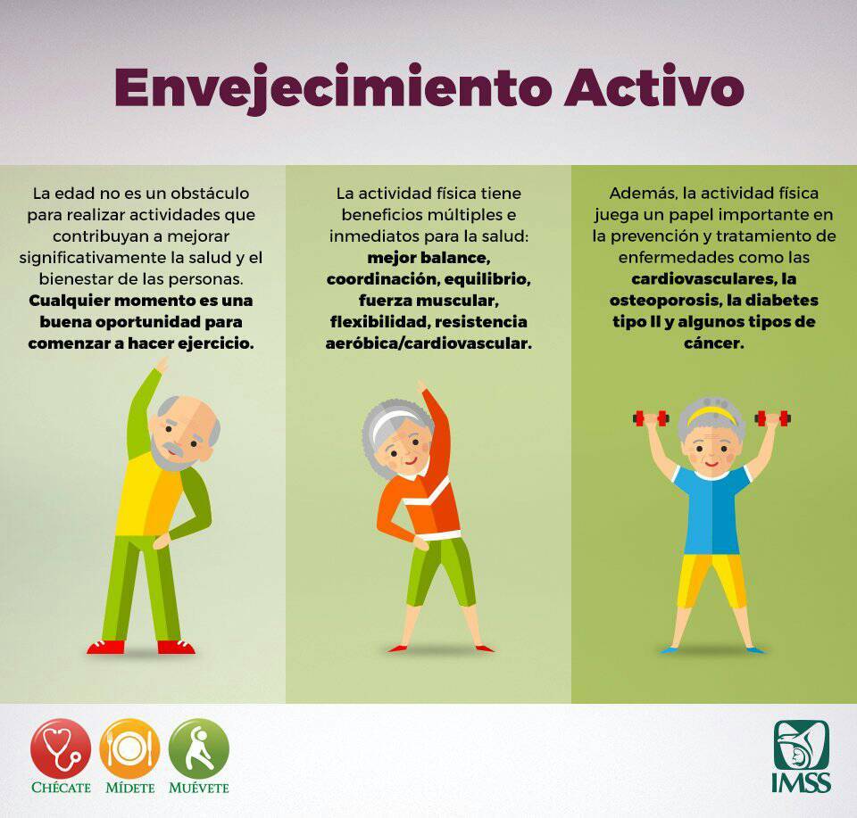 El Envejecimiento Activo Se Basa En El Desarrollo De Hábitos De Vida El Envejecimiento Activo Se Basa En El Desarrollo De Hábitos De Vida