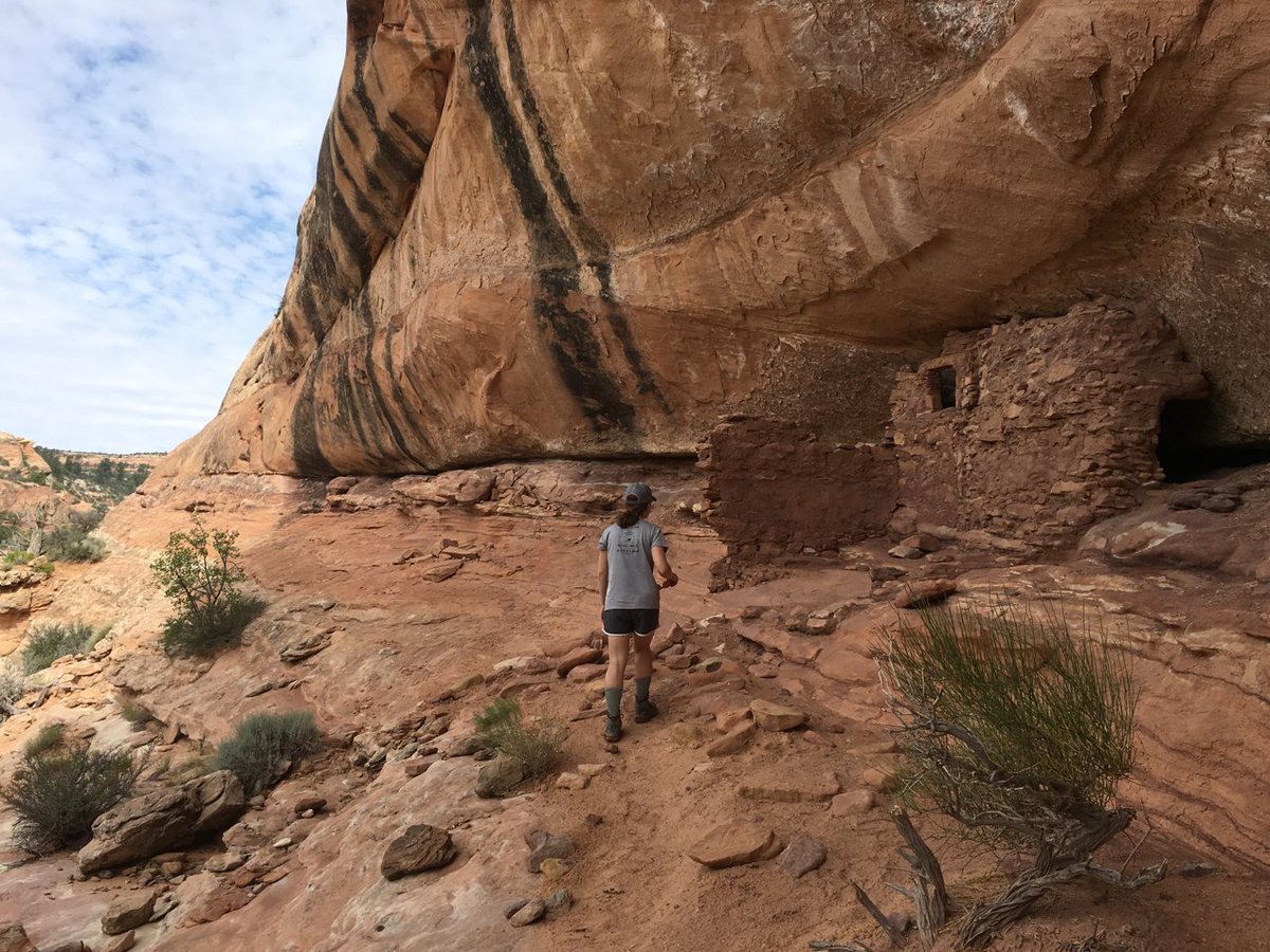 View image on Twitter View image on Twitter