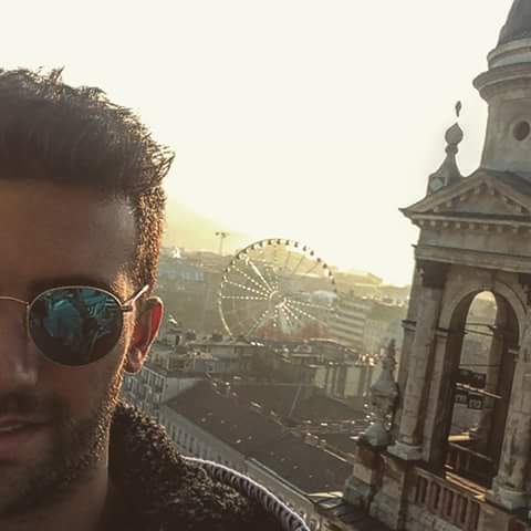 🎡
