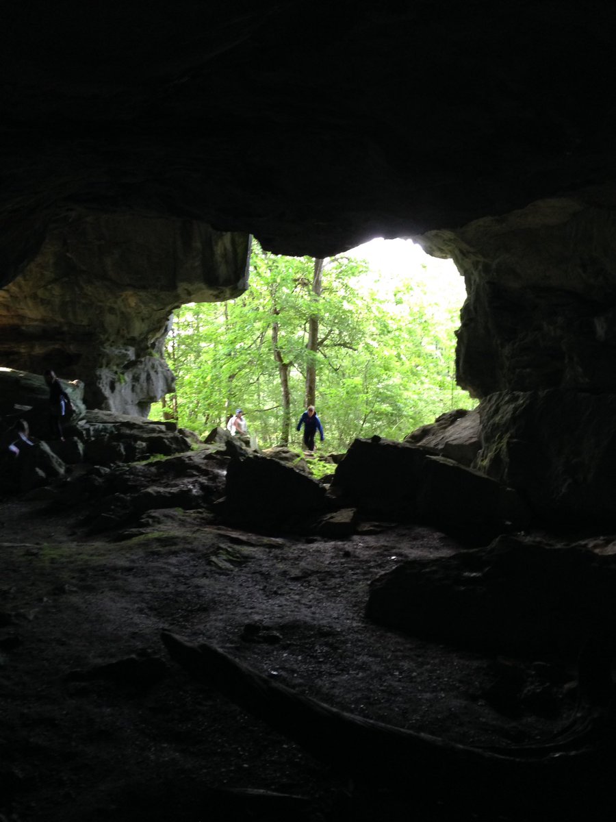 landwaterfork's tweet photo. Exploring caves and picking loads of wild plums in Bruce Peninsula. https://t.co/FrGRPraKmf