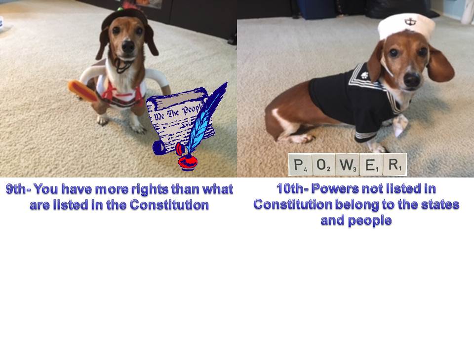 MsAmshoff's tweet photo. I decided to illustrate with Austen the Bill of Rights for my US EOC class. #HallDeservesIt https://t.co/8kzuPJyH8d
