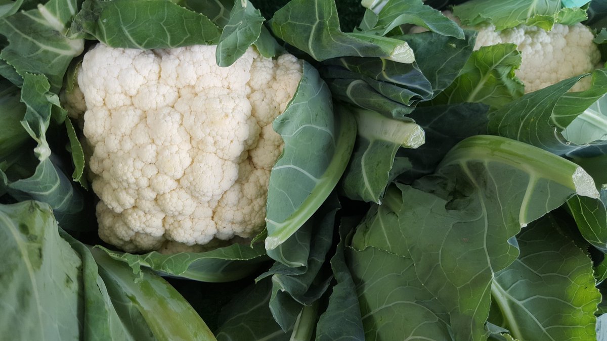 Good golly that's a delicious-looking cauli! Check out <a href="/edenfarmorganic/">Eden Farms</a> on Saturday for amazing #organic veg. #farmersmarket #food