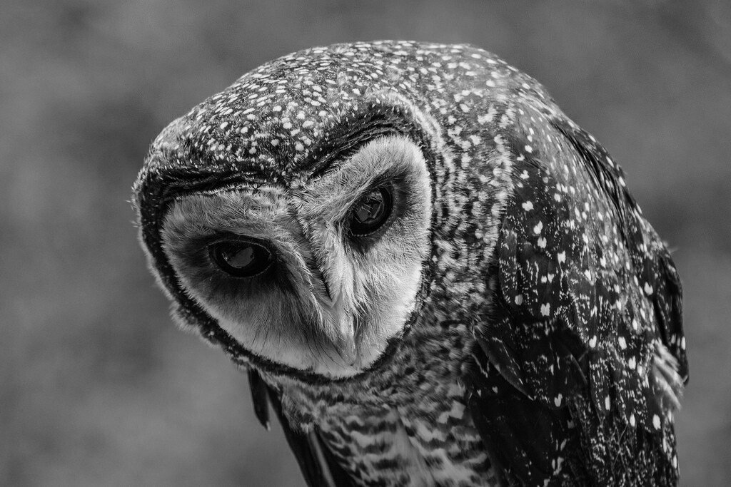 Archillect tweet media