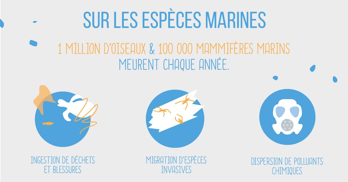 Si on ne fait rien, il y aura plus de plastique que de poissons dans les océans en 2050 🐟 Infographie #OceanCampus ➡ goo.gl/e5HeBs