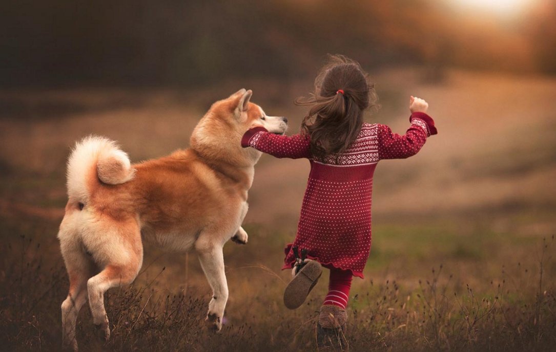 CFParties's tweet photo. Animal magic! Check out today's blog on the benefits of pets! https://t.co/S0m5HvC18Y #cfparties #petsforkids #londonparenting #londonkids https://t.co/PMbt0PEkn8