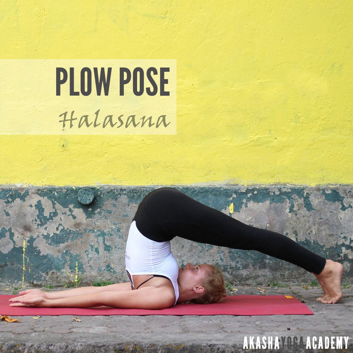 AkashaAcademy's tweet photo. TEACHING OF THE WEEK: HALASANA
https://t.co/xxBCpYYYn4

The name of the pose ... https://t.co/zrRc7xfoyD https://t.co/qy27SkhxhB