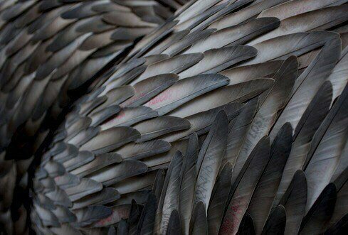 "Look, but ask before touching."