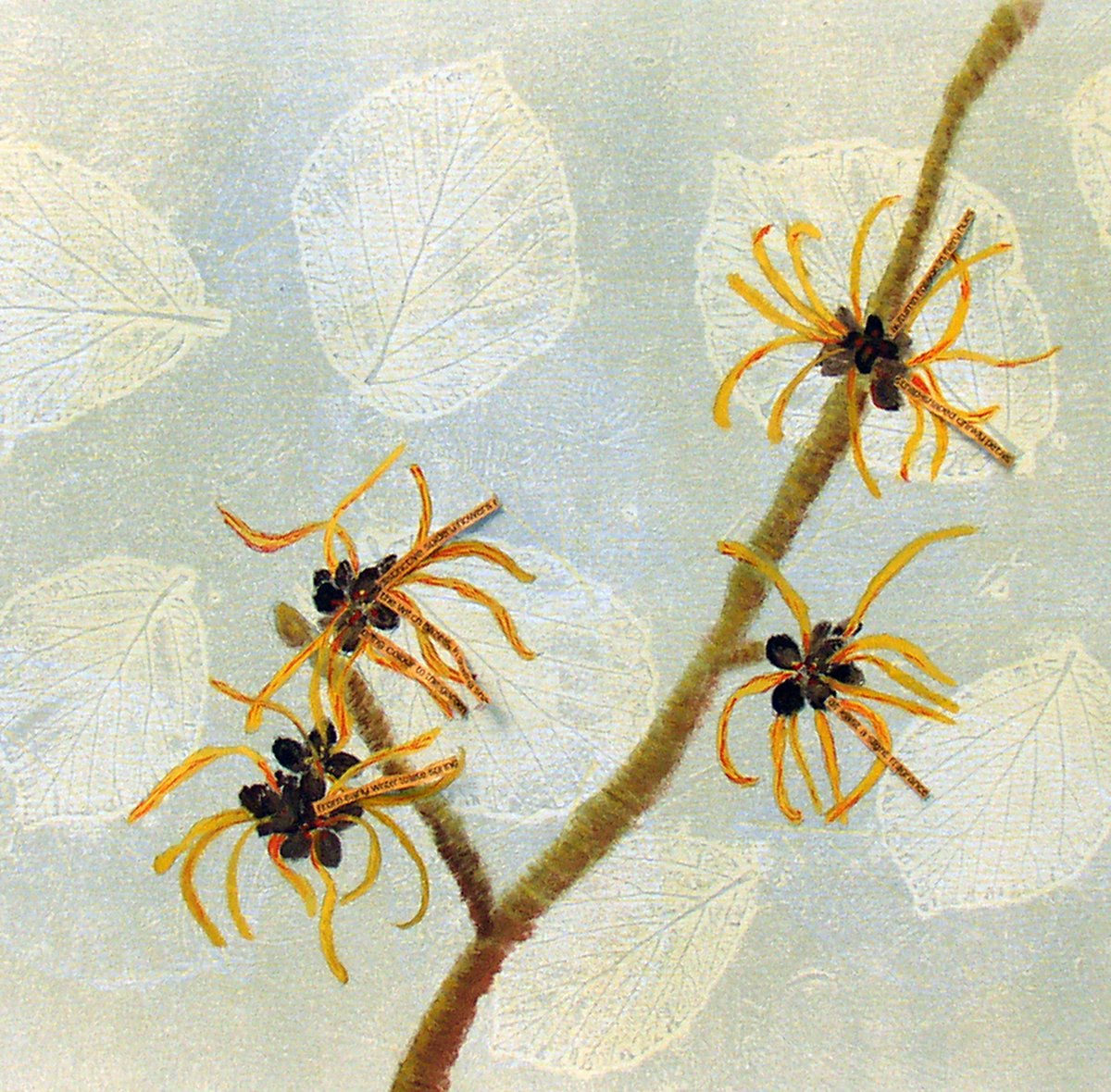 We've had a great week so far! Do pop by and see me today <a href="/hantsopenstudio/">HampshireOpenStudios</a> we're here until 5pm!