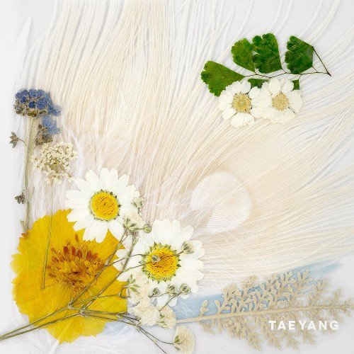 jojoblack77's tweet photo. WAKE ME UP - 태양 - 들어보세요.  https://t.co/2bHOEOxjkm    #Melon #streamWhiteNight https://t.co/sLDz56EvE6