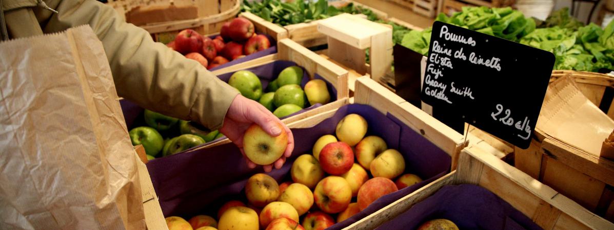 #Alimentation : le prix du panier de fruits et légumes a baissé en 2017, selon <a href="/FamillesRurales/">Familles Rurales</a> francetvinfo.fr/sante/alimenta… (via <a href="/franceinfo/">franceinfo</a>)