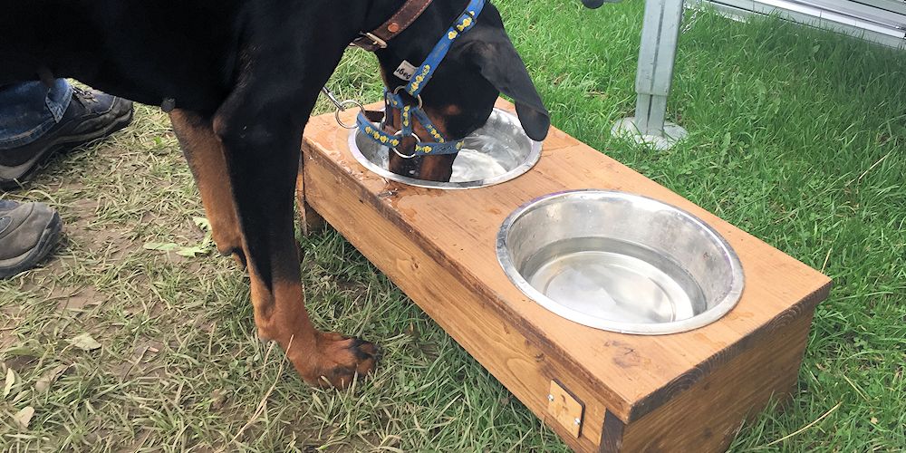 Horsequest.co.uk tweet media