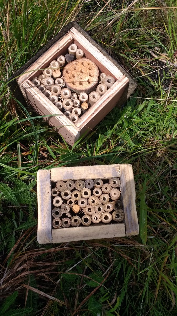 YBanwen's tweet photo. We are making bee hotels today at Y Banwen from 1.30pm - 3.30pm come and join us https://t.co/Tmw9t6zEBt