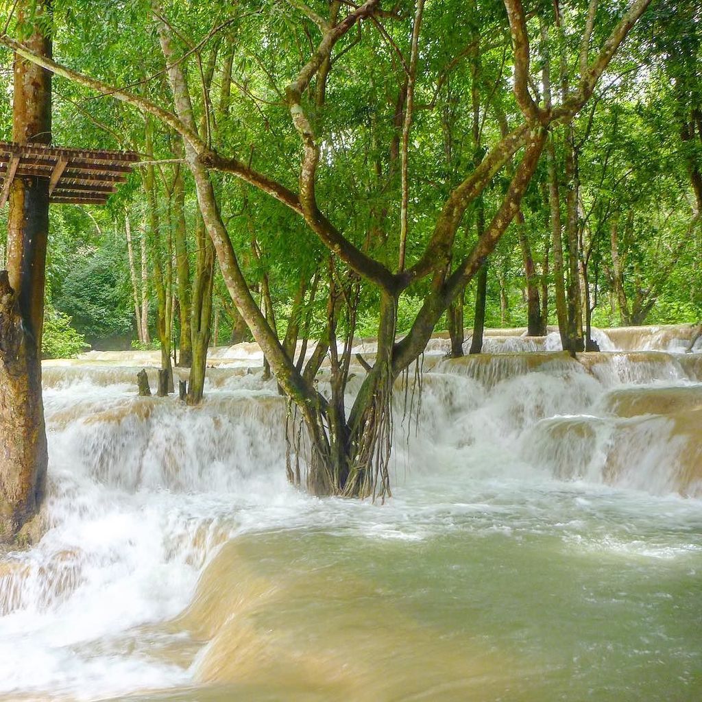 vhorizonsmedia's tweet photo. Nature always finds a way! #treepower #trees #waterfall #tropical #tropicalparadise https://t.co/E7KB8vTVtg