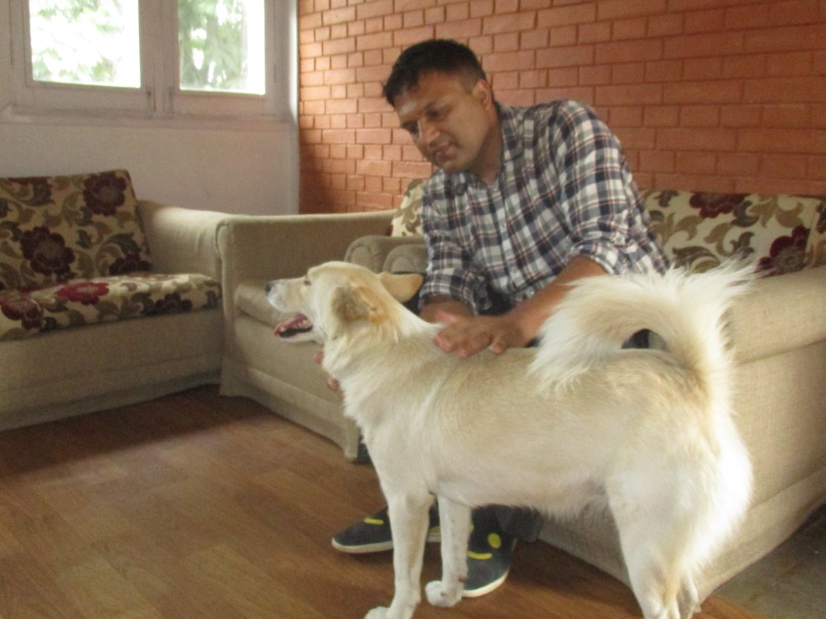 AnimalNepal's tweet photo. New day, new hopes, new life!!
https://t.co/B3Gb6EwssR…/ https://t.co/BzxARmd5v9