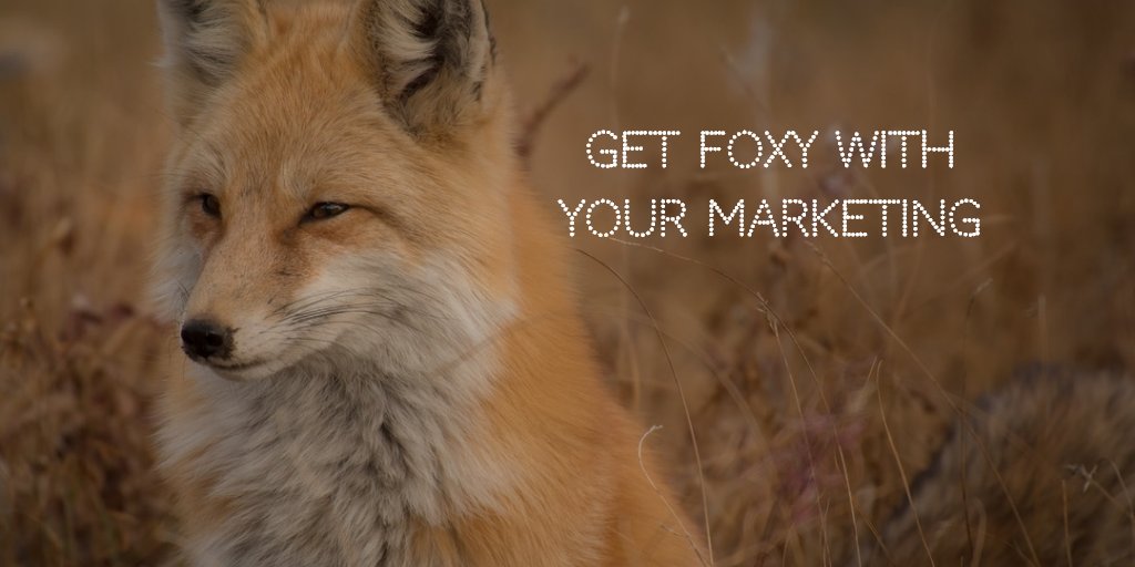 LinkifyIPGrab's tweet photo. 🦊Earn more traffic by monitoring IP visits with short URL's 🦊
https://t.co/lwsLBjcQ7o  
 #URL #IPGrab  #GOT7 https://t.co/qb8Ws0tUtv