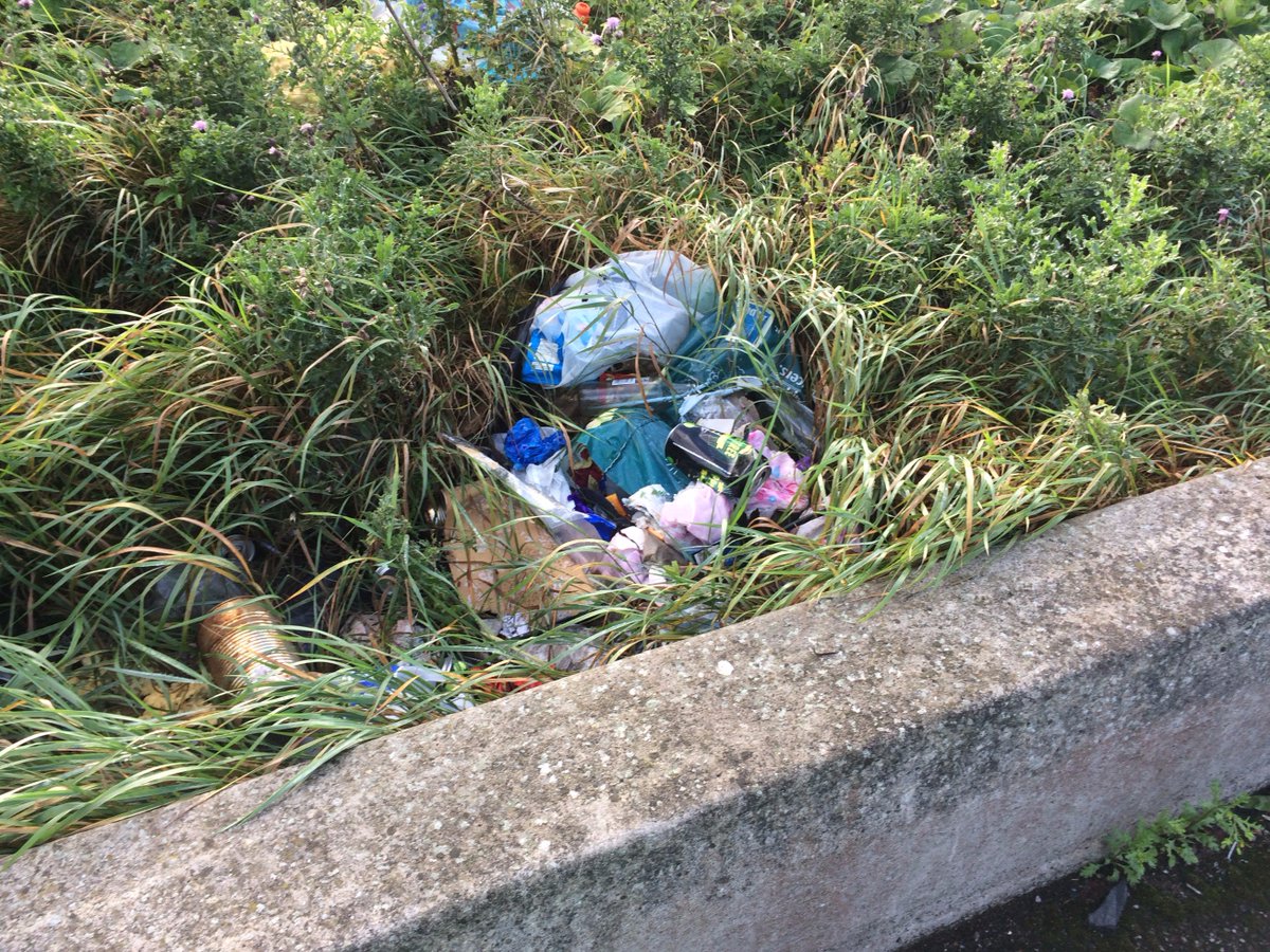 IT Illegal Dumping tweet media