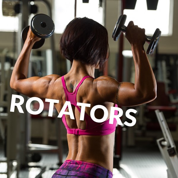 Gym Plan tweet media