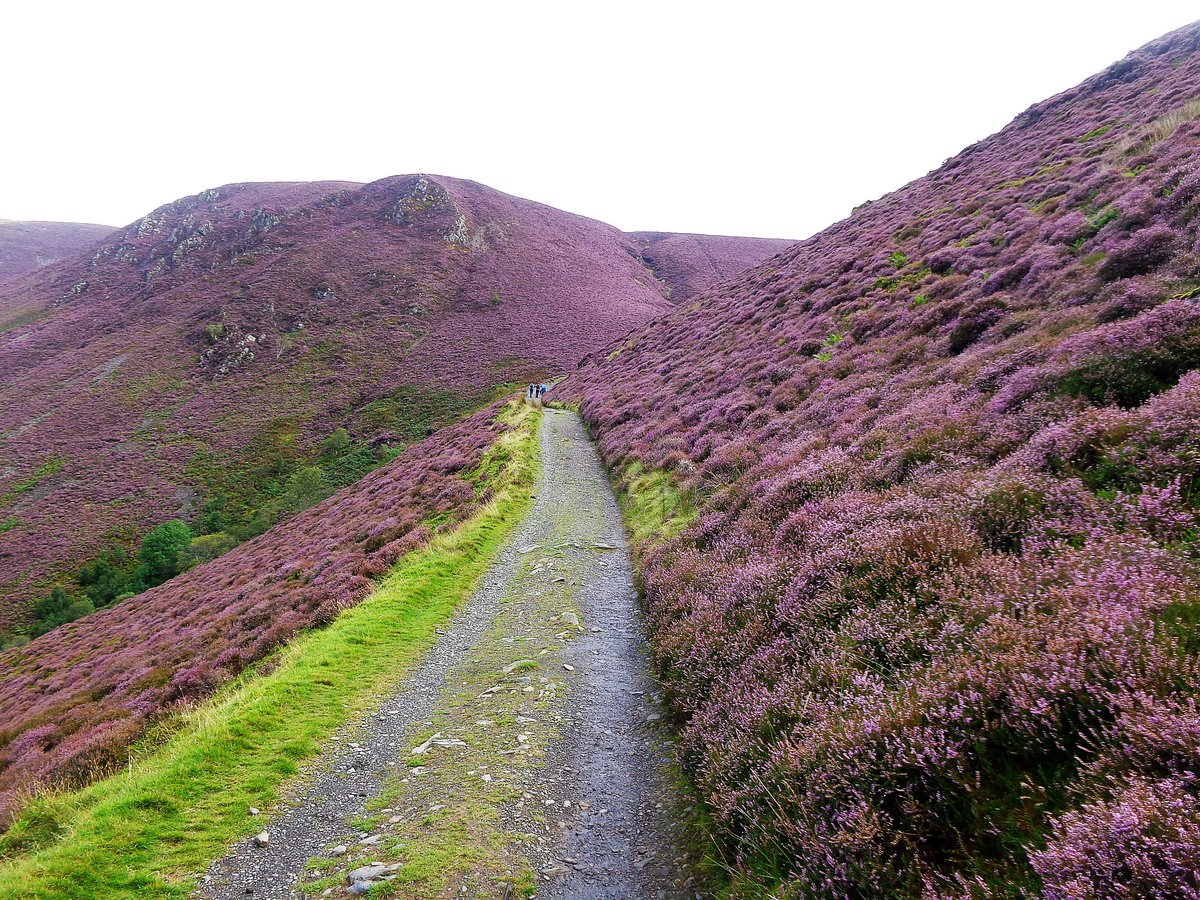 StanLeigh18's tweet photo. @glocky9 @NotJustLakes @CumbriaCrack @keswickbootco @KeswickTourism #skiddaw is always a great walk but try  #Bakestall &amp; #DashValley route https://t.co/vtDOL3cZu3
