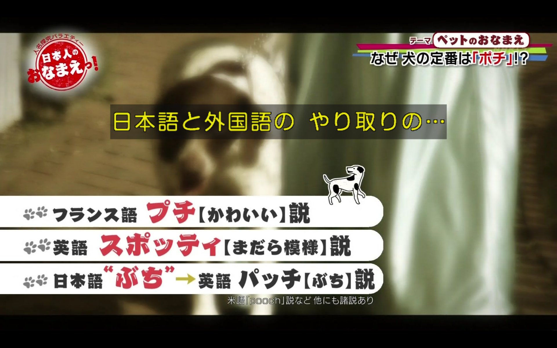 わび さび Twitterissa ペットのおなまえ ポチの由来 フランス語 プチ説 かわいい 英語 スポッティ説 まだら模様 日本語 ぶち犬説 日本でのまだら模様 日本人のおなまえっ ポチ T Co Pm67w9wrhy Twitter わび さび Twitterissa ペットのおなまえ ポチの由来 フランス語 プチ説 かわいい 英語 スポッティ説 まだら模様 日本語 ぶち犬説 日本でのまだら模様 日本人のおなまえっ ポチ T Co Pm67w9wrhy Twitter