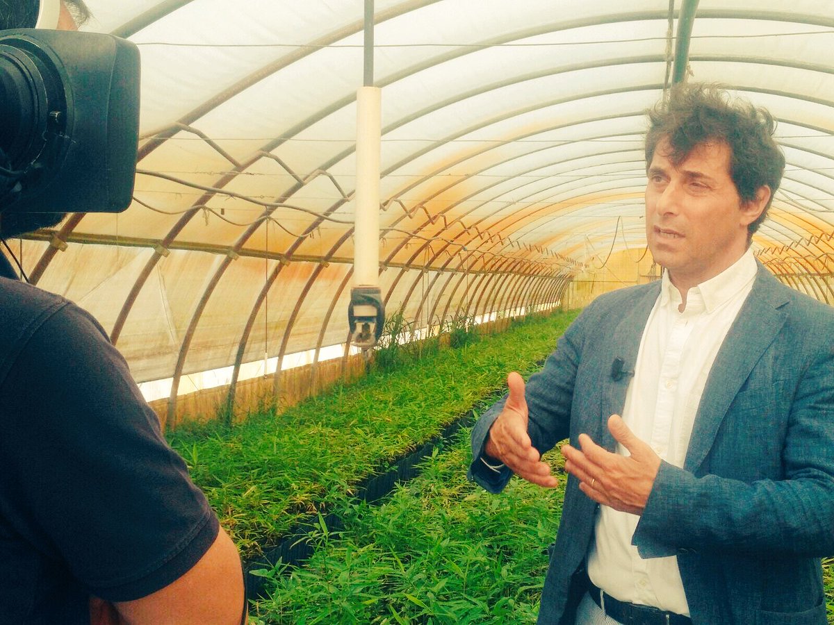 Intervista del #Tg1 a <a href="/fabriziopecci/">fabrizio pecci</a> presidente del Consorzio Bambù Italia