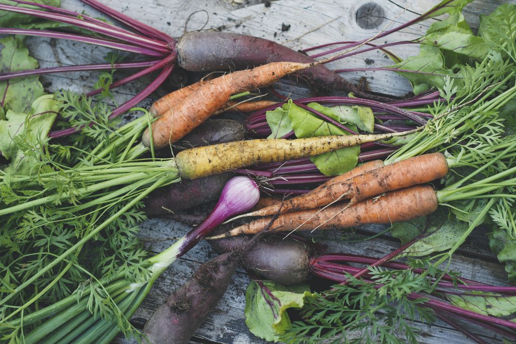 CreateFood's tweet photo. 2million tonnes of food produced in the UK is wasted each year. Here are the companies putting leftovers to good use https://t.co/YlP9TZ1PV7 https://t.co/jfObAFBLMx