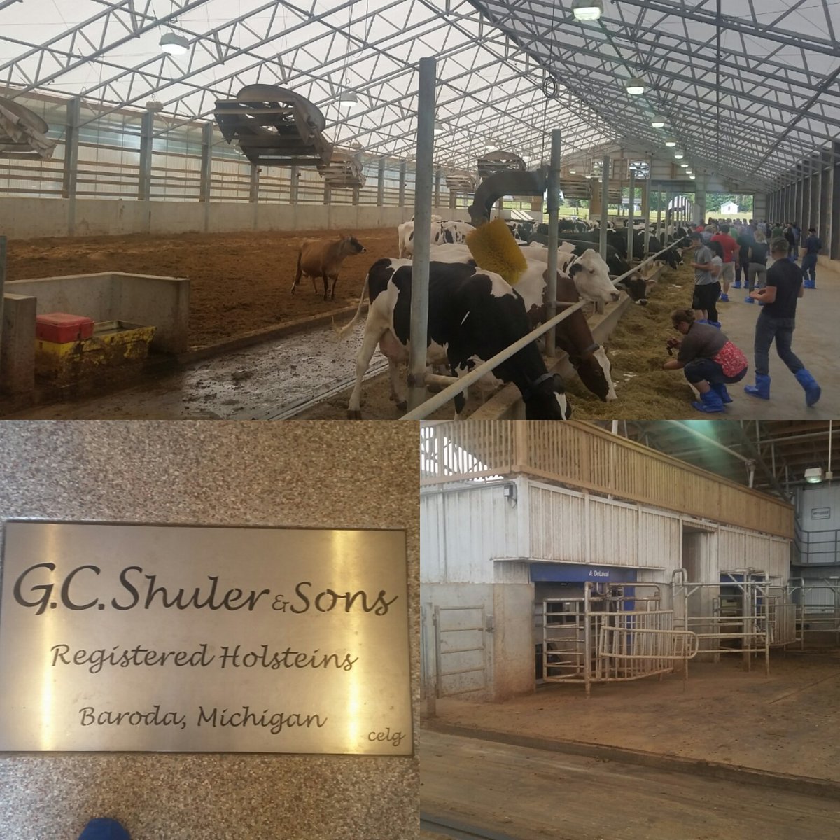Shuler Family proudly shows off their 2 #VMS  pack barn by WeCover.  Also tunnel vent barn.  AgTourism focus with tours & ice cream! #PDO17