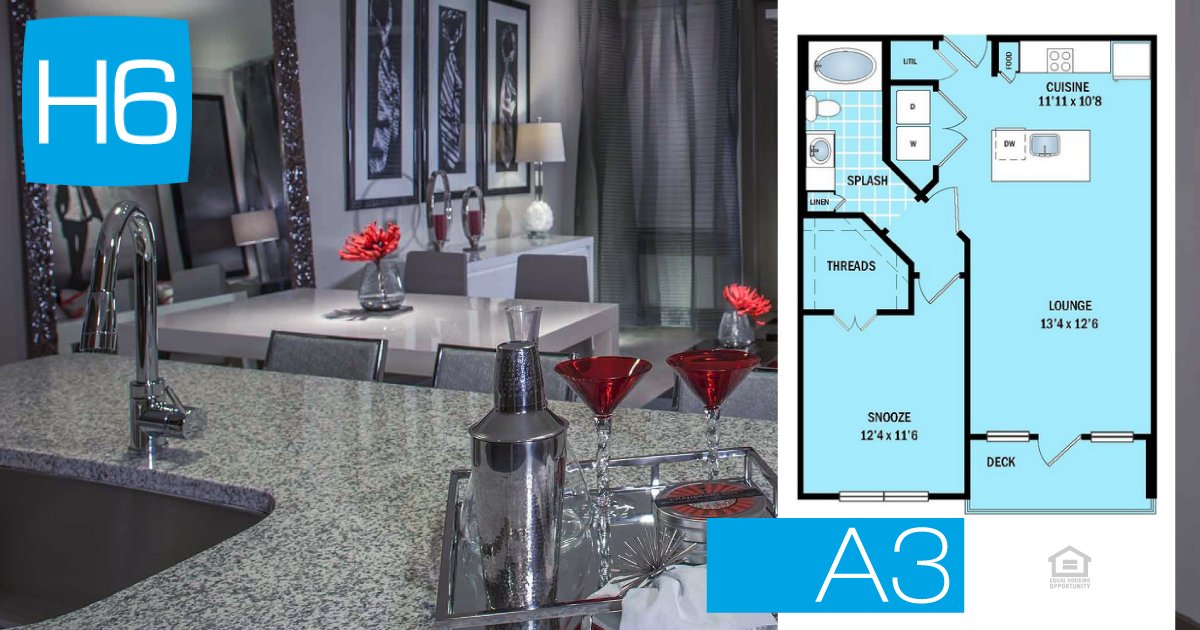 H6 Apartments tweet media