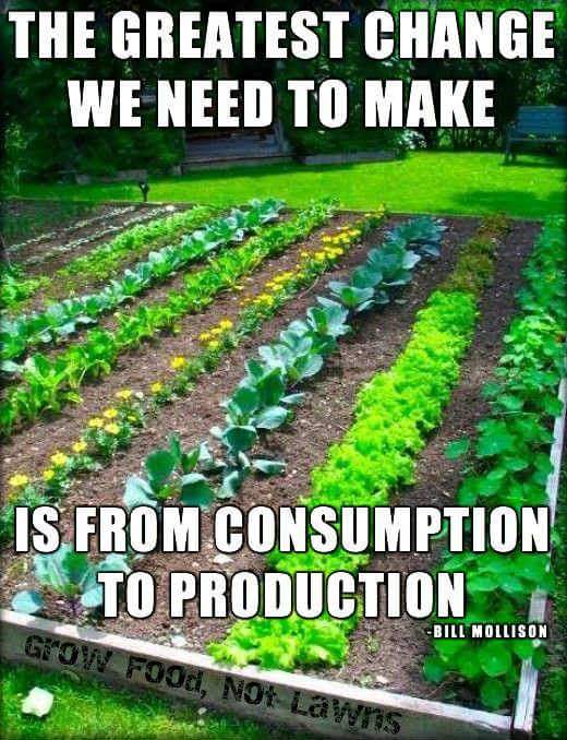 foodtank's tweet photo. Do you agree? "The greatest channge we need to make is from consumption to  production." https://t.co/0NSHRuAJ3Z