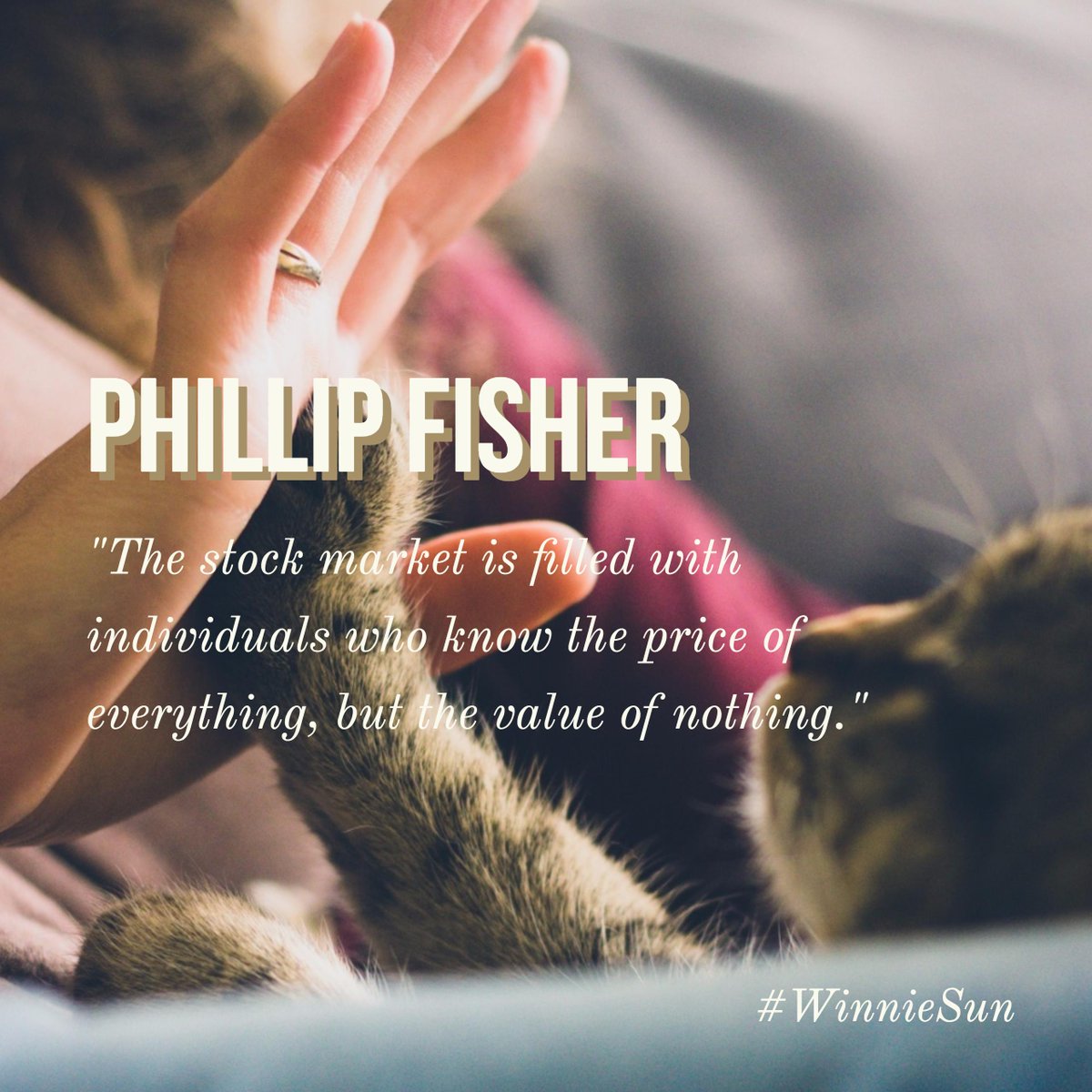 winniesun's tweet photo. "The stock market is filled with individuals who know the price of everything, but the value of nothing." - Phillip Fisher #Quote #WinnieSun https://t.co/xboyhTB2Ue