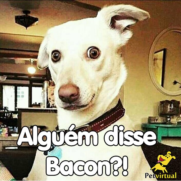 Pet_Virtual's tweet image. Qual a sua palavra mágica?

#petvirtual #moods #pets