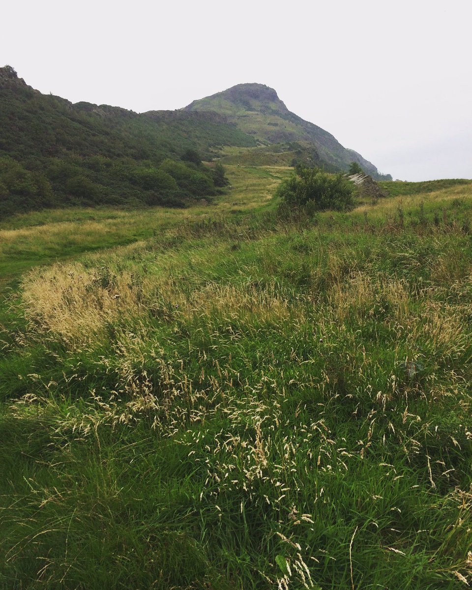 woodlandfactory's tweet photo. Yes, Scotland!!! #aye #braveheartstuff #bearforbreakfast #Edinburgh #hiking #climbing #mountains #hills #nature #vegan #wildlife #nopeople https://t.co/apHB2Fo3oP
