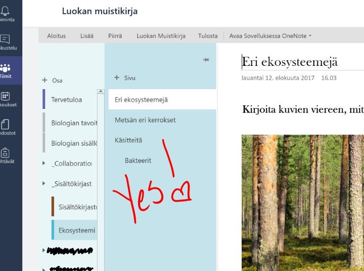 Piia Martikainen 🌍 tweet media