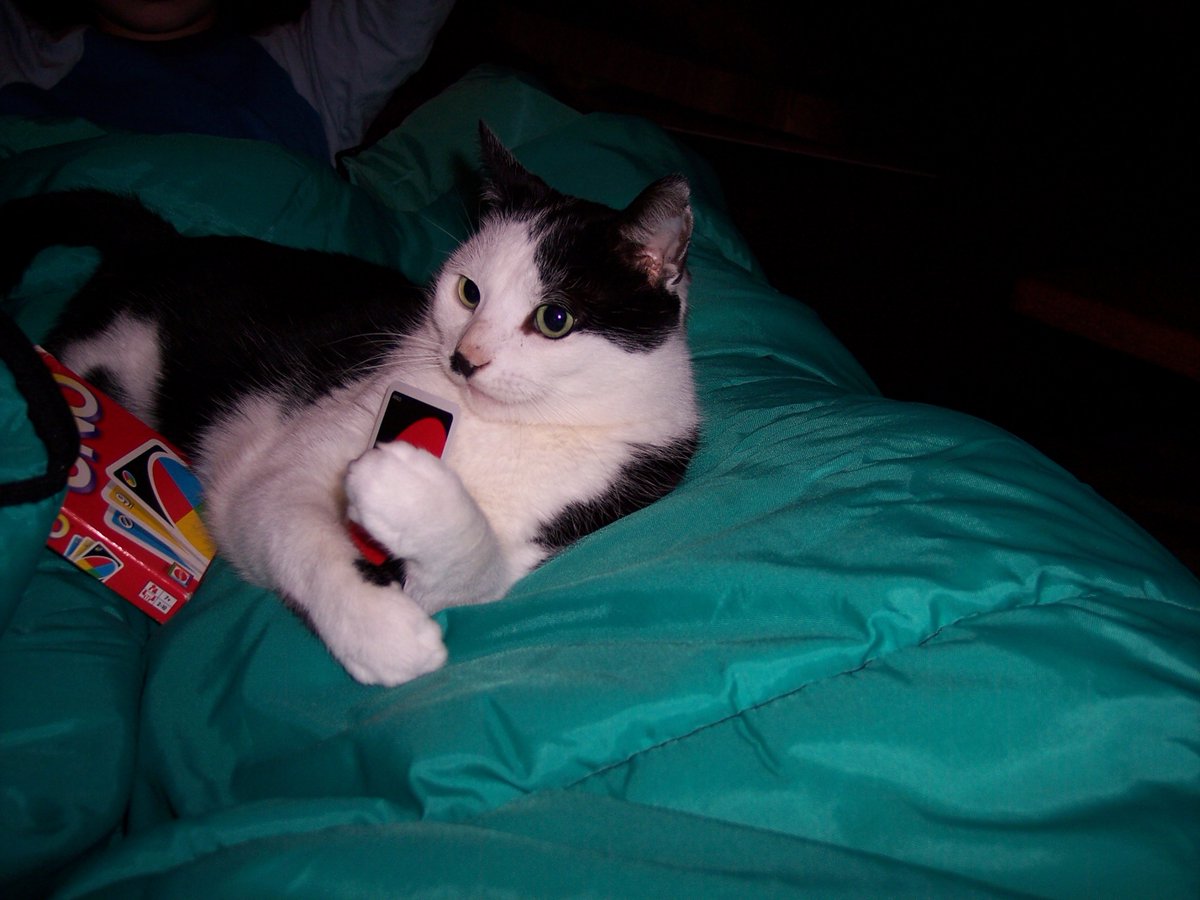 Ingepinge tweet media