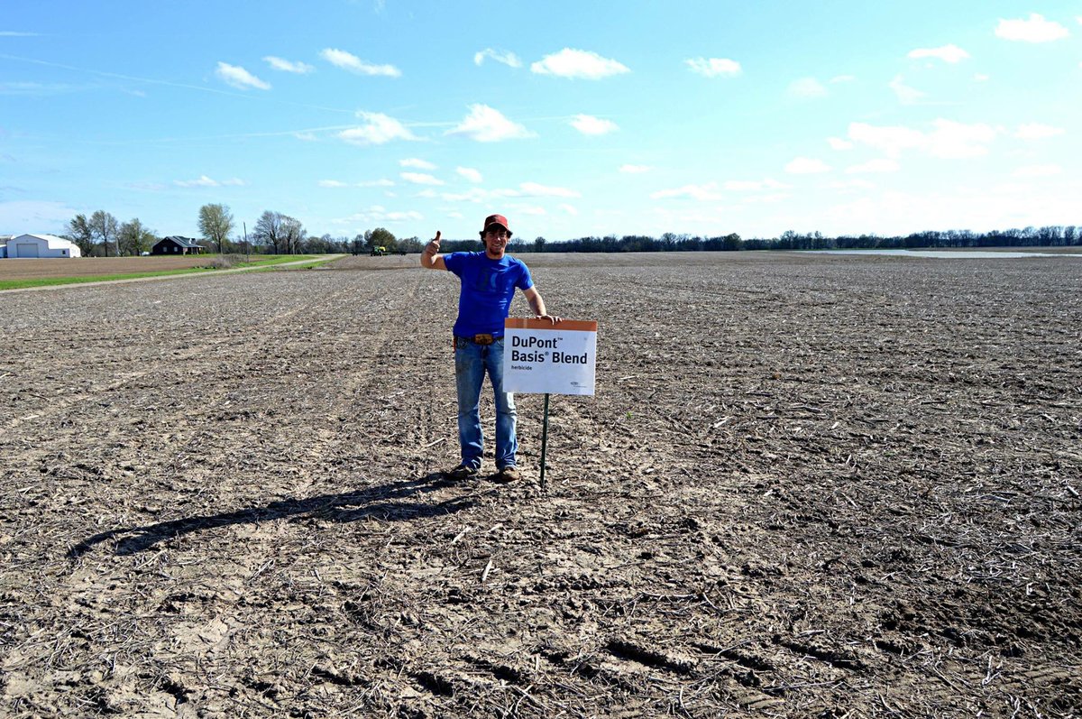 nod_ky's tweet image. Sharing another fall app success from last year-see the planter in the background? Basis®Blend,2,4-D+Glyphosate #FallApplication #PlantReady