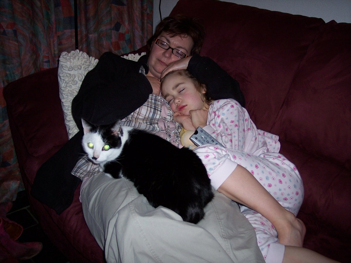 Ingepinge tweet media