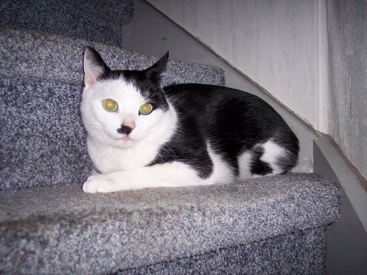 Ingepinge tweet media