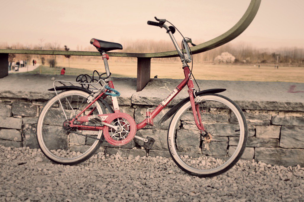 torrot_official's tweet photo. Que levante la mano el que pasó mil tardes de su infancia pedaleando en una Torrot como esta @YofuiaEGB 😄
#TBT #Retro #Morriña #Torrotstyle https://t.co/pgL1peMNZG