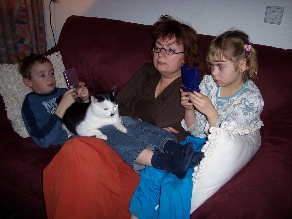 Ingepinge tweet media