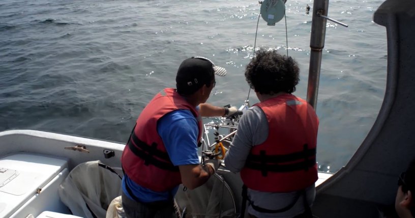 Chile_Global's tweet image. Científicos chilenos descubren que bacterias de zonas marinas anóxicas poseen la capacidad de producir oxígeno ow.ly/itzs30eE7jo