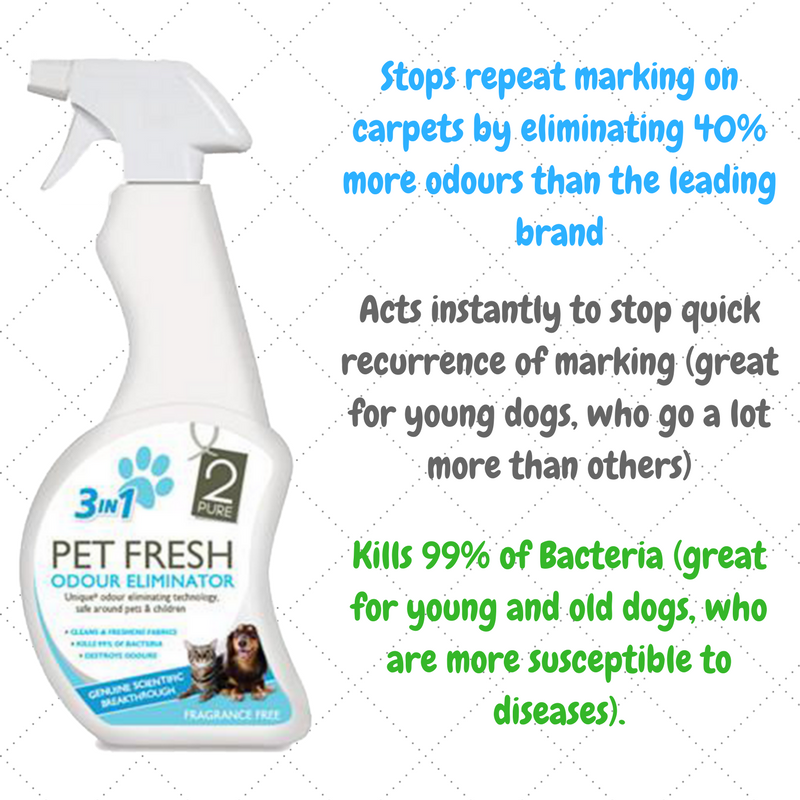 2PurePetFresh's tweet photo. Pet Fresh is the perfect spray to stop dogs of all ages from peeing on carpets and other surfaces, without using harsh fragrances https://t.co/CSd0cau6XF