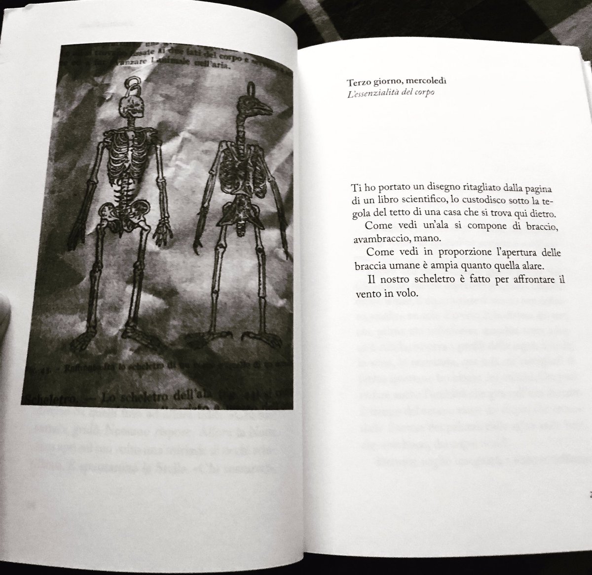 "Il nostro scheletro è fatto per affrontare il vento in volo" #IlPoetaDellAria #ChiccaGagliardo <a href="/Haccaedizioni/">Hacca edizioni</a> 🖤