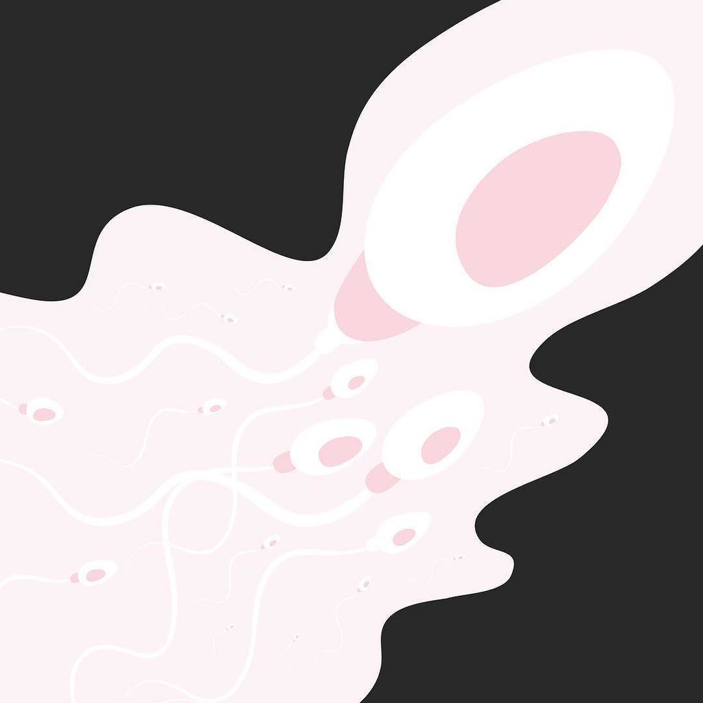 @rughara participa en #HybridFest de la mano de la artista @barbara_magdalena con la exposición "Xpictures" ⠀
⠀
#r… ift.tt/2vFKbFC