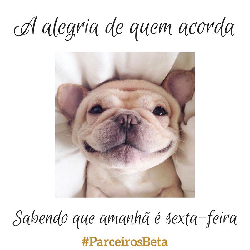 #ParceirosBeta