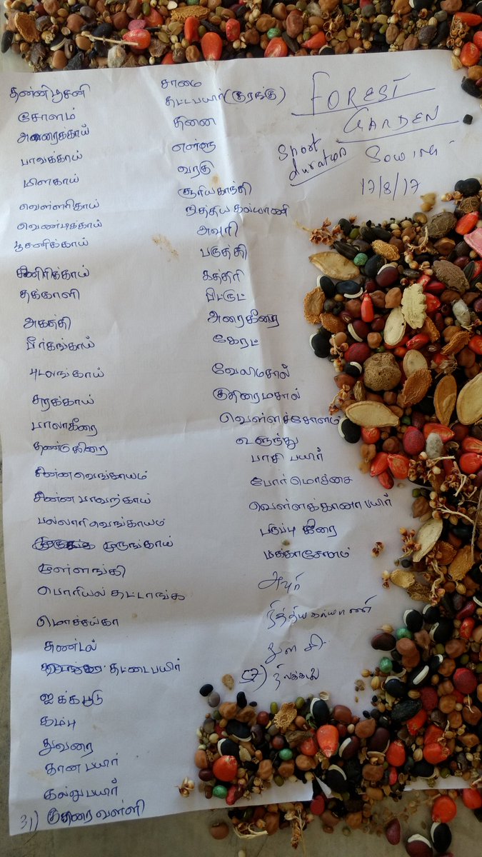 Jeypeefarm's tweet photo. Sowing seed for third layer of annuals in our Forest Garden. Fallow land rejuvenation. #Permaforest #SoilHealth #Biodiversity #Erosion #Soil https://t.co/NkQAuTSaLv